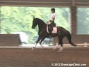 The Georgia Dressage & Combined Training Association<br>Day 2<br>
Guenter Seidel<br>
Assisting<br>
Ashley Marascalo<br>
Don Frederic<br>
Hanoverian<br>
4 yrs. old Gelding<br>
Training: FEI 4 yrs. old<br>
Duration: 31 minutes