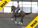 Day 1<br>
Markus Gribbe<br>
Assisting<br>
Andrea Taylor<br>
Usher<br>
KWPN<br>
by: Jazz<br>
9 yrs. old Gelding<br>
Training: PSG/1-1<br>
Owner: Penny Pillow<br>
Duration: 36 minutes