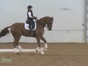 IDCTA The Illinois Dressage & Combined Training Association Presents<br>
Jan Brink<br>
Assisting<br>
Julie Julian<br>
Proteus<br>
Danish Warmblood<br>
8 yrs. old gelding<br>
Training: PSG<br>
Duration:36 minutes