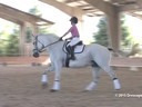 CDS Junior Young Rider Clinic<br>
Charlotte Bredahl<br>
Assisting<br>
Isabell Pavone<br>
Prince of Diamonds<br>
13 yrs. Old Gelding<br>
Irish Sport Horse<br>
Training: 2nd level<br>
Duration: 27 minutes
