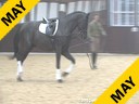 Markus Gribbe<br>
Riding & Lecturing<br>
Dante Weltino<br>
by: Danone<br>
3 yrs. old Stallion<br>
Oldenburg<br>
Training: Training Level<br>
Duration: 29 minutes