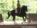 The Georgia Dressage & Combined Training Association<br>Day 1<br>
Guenter Seidel<br>
Assisting<br>
Laura Wharton<br>
Zandor<br>
by: Florencio<br>
8 yrs. old  Dutch Gelding<br>
Training: PSG/1-1<br>
Duration: 41 minutes