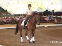 GDFNA Global Dressage Forum North America<br>
Conrad Schumacher<br>
Assisting<br>
Emily Wright<br>
Florestano<br>
15 yrs. old Gelding<br>
Duration: 23 minutes