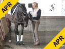 Arthur Kottas<br>
WorkInHand<br>
Surina<br>
Oldenburg<br>
KWPN/TB<br>
8 yrs.old Mare<br>
by: Sure Hit<br>
Training: 3rd level<br>
Duration: 38 minutes