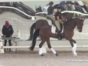 USDF West Coast Trainers Conference<br>
Day 2<br>
Stephen Clarke<br>
Assisting<br>
D’Re Stergios<br>
Sarumba<br>
8 yrs. Old Mare<br>
Hanoverian<br>
by:  Sir Donnerhall I<br>
Owner:  D’Re Stergios<br>
Duration: 32 minutes