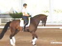 GDFNA Global Dressage Forum North America<br>
Conrad Schumacher<br>
Assisting<br>
Kevin Coleman<br>
Sofia<br>
Dutch Warmblood<br>
10 yrs old<br>
Duration: 19 minutes