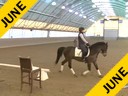 IDCTA Illinios Dressage & Combined Training Association<br>
Lilo Fore<br>
Assisting<br>
Kerry Johnson<br>
Red Fish Blue Fish<br>
Training: 4th Level<br>
Duration: 40 minutes