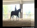 Day 1<br>
Mary Wanless<br> Assisting<br> Sondra Miller <br>
 Riding  Crescendo<br> Dutch Warmblood <br>
5 yrs. old<br>
Training:  2nd Level<br>
Duration: 32 minutes