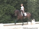 Wolfram Wittig<br>
Assisting<br>
Kyra Wulferding<br>
Sir Rubiloh<br>
by: Sir Donnerhall<br>
3 yrs. old Stallion<br>
Training: Training Level<br>
Duration: 10 minutes