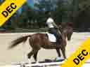 Gary Rockwell<br>
Assisting<br>
Amy Gimbel<br>
Addiction<br>
Durch Warmblood<br>
10 yrs. Old Gelding<br>
Training:  2nd Level<br>
Owner:  Elizabeth Strauss<br>
Duration: 46 minutes