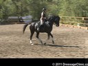 U.S. Trainers & Judges Young Horse Forum<br>Day 2<br>
Dr. Dieter Schule<br>
Demonstrating the Expectations<br>
of the Developing horse<br>
Assisting<br>
Barbi Breen<br>
Vindicator<br>
KWPN<br>
by: OO Seven<br>
9 yrs. old Gelding<br>
Duration