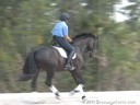 Bill Waren<br>
Assisting<br>
Bill McMullin<br>
Rosabella<br>
Hanoverian<br>
8 yrs. old Mare<br>
Training: 1st Level<br>
Owner: Kim Quinliran<br>
Duration: 37 minutes