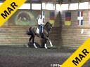 Day 1<br>
Markus Gribbe<br>
Assisting<br>
Carmie Flaherty<br>
Prince Solo<br>
Hanoverian<br>
by: Pik Solo<br>
12 yrs. old Gelding<br>
Training:  I1 Level<br>
Owner: Linda Landers<br>
Duration: 27 minutes