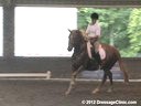 The Georgia Dressage & Combined Training Association<br>Day 2<br>
Guenter Seidel<br>
Assisting<br>
Anke Boersma<br>
Sassafrass<br>
Hanoverian<br>
by: Scimitar<br>
6 yrs. old Mare<br>
Training: 2nd/3rd Level<br>
Duration: 22 minutes