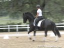 Sue Martin<br>
Assisting<br>
Morgan Heinrich<br>
Natasha<br>
Oldenburg<br>
by: Negro<br>
7 yrs. old Mare<br>
Training: 3rd Level<br>
Owner: Karen Drown<br>
Duration: 35 minutes