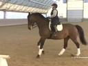 IDCTA Illinios Dressage & Combined Training Association<br>
Lilo Fore<br>
Assisting<br>
Paula Briney<br>
Willemna<br>
Training: PSG<br>
Duration: 46 minutes