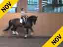 Christilot Boylen<br>
Riding & Lecturing<br>
Happy<br>
by: Hohenstein/Debocrate<br>
Oldenburg<br>
9 yrs. Old Gelding<br>
Training: GP<br>
Duration: 33 minutes