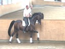 Hartwig Burfeind<br>
Riding & Lecturing<br>Diamonit<br>
Oldenburg<br>
6 yrs. old Stallion<br>
Training: 3rd Level<br>
Duration: 25 minutes