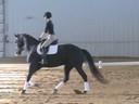 IDCTA The Illinois Dressage & Combined Training Assosiation Presents<br>
Jan Brink<br>
Assisting<br>
Jennifer Salinger<br>
Leopold<br>
9 yrs. old Hanoverian Gelding<br>
Training: 1st Level<br> 
Duration: 48 minutes