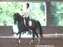 The Georgia Dressage & Combined Training Association<br>Day 2<br>
Guenter Seidel<br>
Assisting<br>
Gigi Nutter<br>
Vincere<br>by: Ferro<br>
KWPN<br>
10 yrs. old Gelding<br>
Training: 4th Level/PSG<br>
Duration: 41 minutes