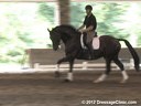 The Georgia Dressage & Combined Training Association<br>Day 1<br>
Guenter Seidel<br>
Assisting<br>
Chris Erbskorn<br>
Oliver<br>
Oldenburg<br>
7 yrs. old   Gelding<br>
Training: 2nd/3rd Level<br>
Duration: 43 minutes