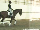 U.S.Trainers & Judges Young Horse Forum<br>Discussion & Demonstration<br>
on Suppleness & Contact<br>
by Micheal Poulin &<br> 
Christoph Hess<br>
Subjects:<br>
Horse's Shapes<br>
Confirmation<br>
Movement<br>
Duration: 29 minu