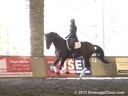 GDCTA Annual Symposium with<br>
Scott Hassler<br>
Assisting<br>
Stacie Meyers<br>
Dahlia<br>
4 yrs. Old Mare<br>
by: Don Principe<br>
Owner: Gina Fisk<br>
Duration: 45 minutes