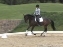 Sue Martin<br>
Riding & Lecturing<br>
Zaphenia<br>
Dutch Warmblood<br>
by: Hamlet<br>
7 yrs. old Mare<br>
Training: 2nd Level<br>
Owner: Stahl Child Dressage LLC<br>
Duration: 45 minutes