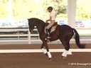 GDFNA Global Dressage Forum North America<br>
Christilot Boylen<br>
Riding & Lecturing<br>
Florencia<br>
7 yrs. old Mare<br>
Duration: 36 minutes