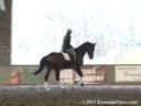 GDCTA Annual Symposium with<br>
Scott Hassler<br>
Assisting<br>
Stacie Meyers<br>
Dahlia<br>
4 yrs. Old Mare<br>
by: Don Principe<br>
Owner: Gina Fisk<br>
Duration: 26 minutes