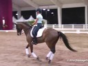 GDFNA Global Dressage Forum North America<br>
Christoph Hess<br>
Assisting<br>
Laura Loyes<br>
Galveston<br>
Danish<br>
Duration: 20 minutes