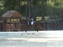 Gary Rockwell<br>
Assisting<br>
Heather Mason<br>
Zar<br>
11 yrs. Old  Dutch Gelding<br>
Training: GP<br>
Owner:  Heather Mason<br>
Duration: 44 minutes