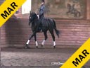 Day 2<br>
Markus Gribbe<br>
Assisting<br>
Nikki Greenburg<br>
San Donato<br>
Hanoverian<br>
by: Sandro Hit<br>
6 yrs. Gelding<br>
Training: 2nd Level<br>
Owner: Nikki Greenburg<br>
Duration:  29 minutes