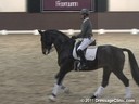 Global Dressage Forum<br>Netherlands Academy Bartels<br>Day 2<br>
Carl Hester &<br>
Charlotte Dujardin<br>
