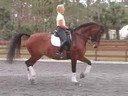 Available on DVD No.5<br>Betsy Steiner<br>
Riding & Lecturing<br>
Feliki<br>KWPN<br>
19 yrs. old Mare<br>
Training: Grand Prix<br>
Duration: 32 minutes